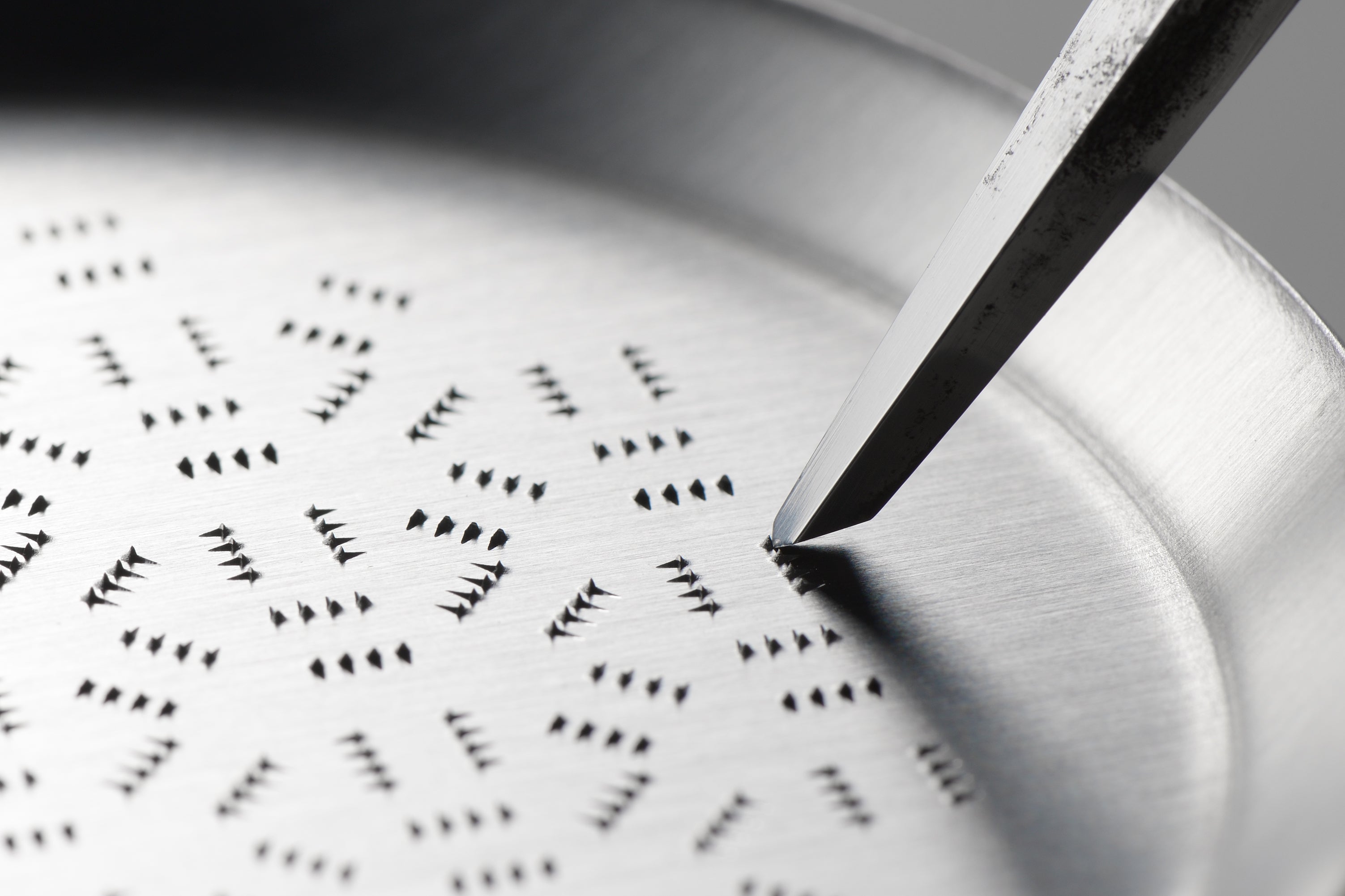 Stainless Steel Wasabi Grater
