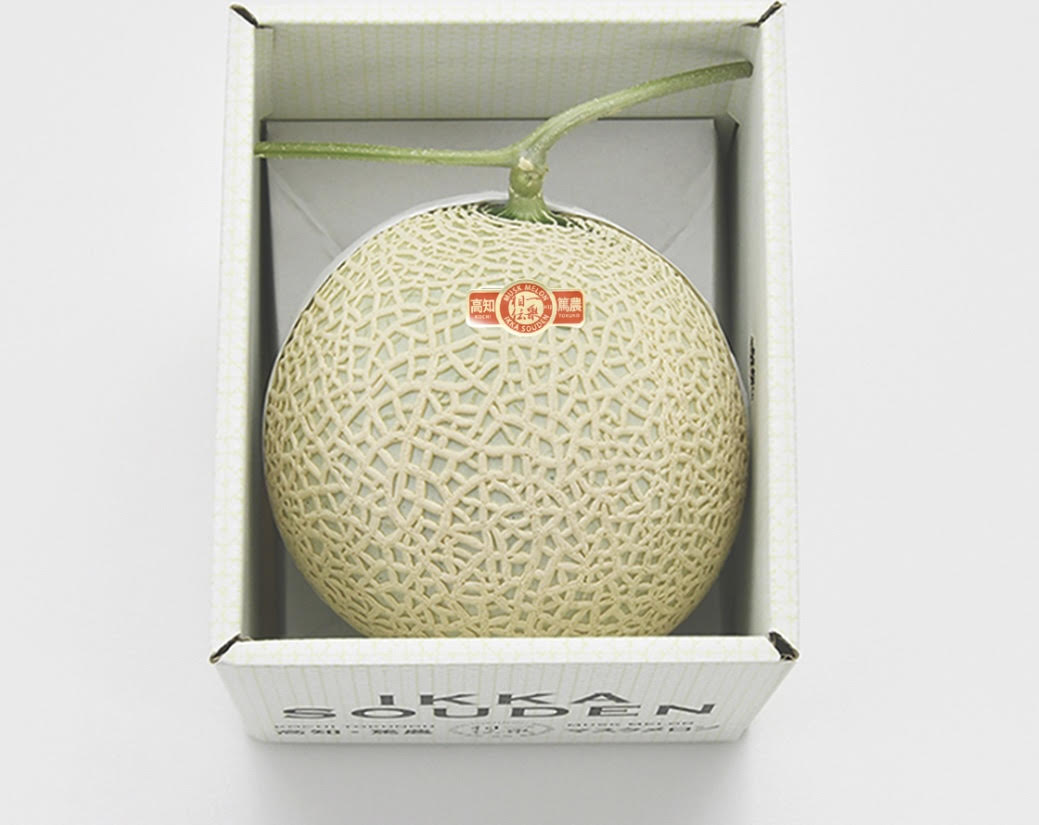 TOSA Muskmelon (Orange)