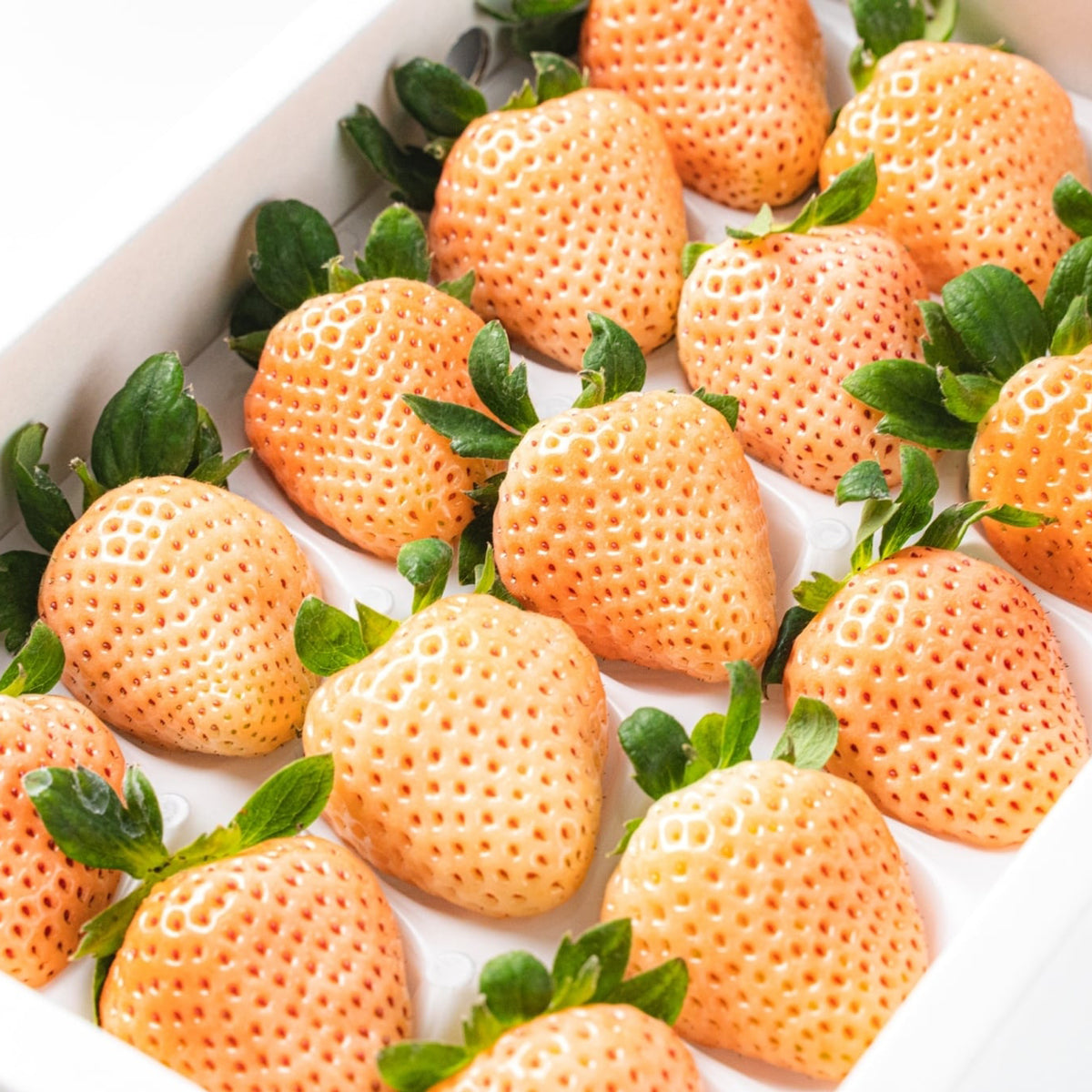 Pink Berry Awayuki Strawberry