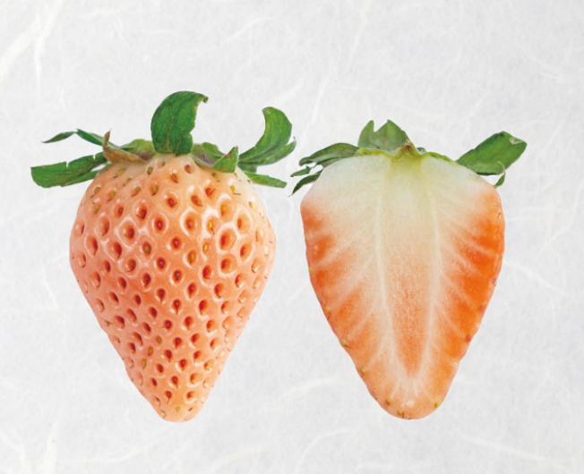 J-Berry Tricolor Strawberries – Red, Pink & White