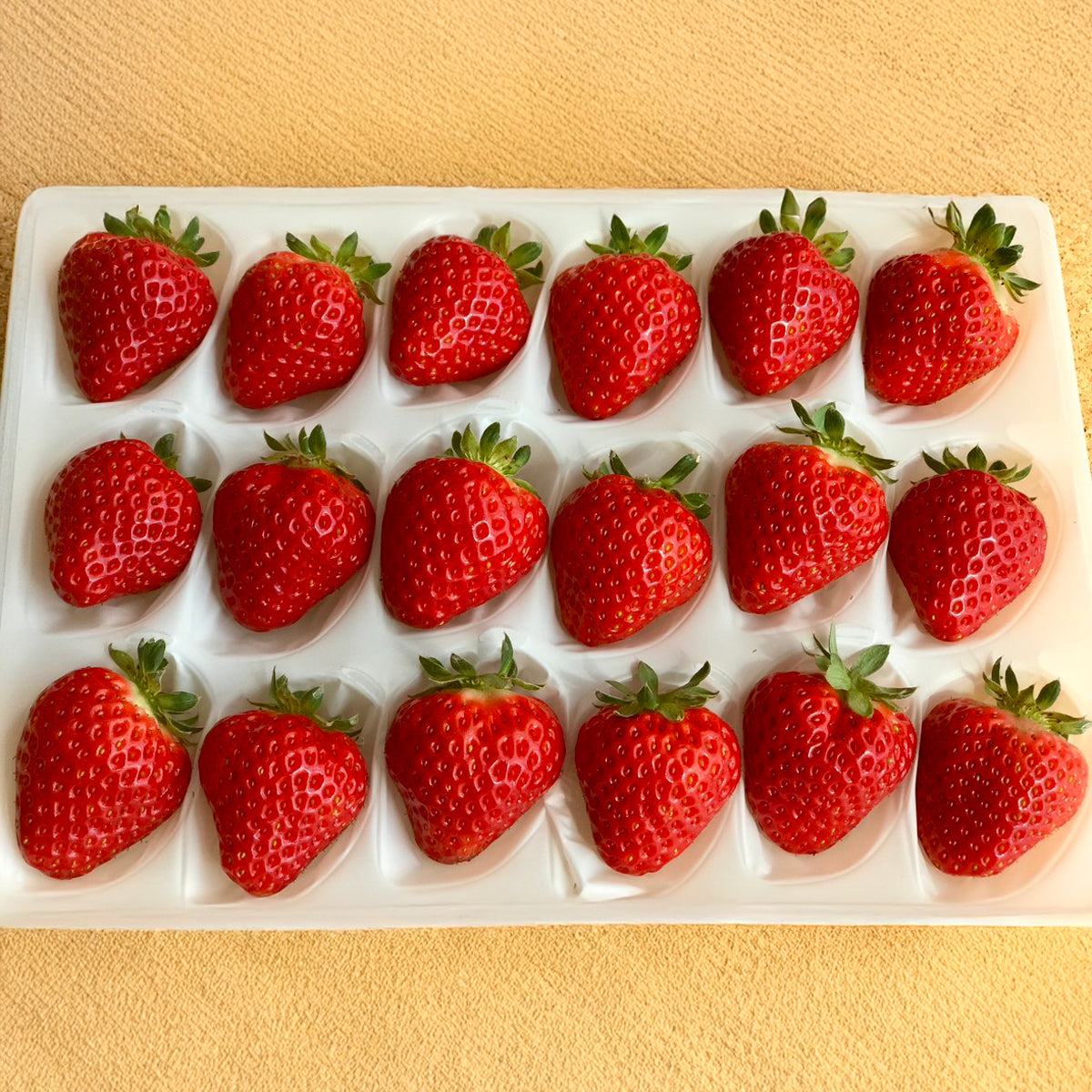 Karuizawa Garden Farm Strawberries