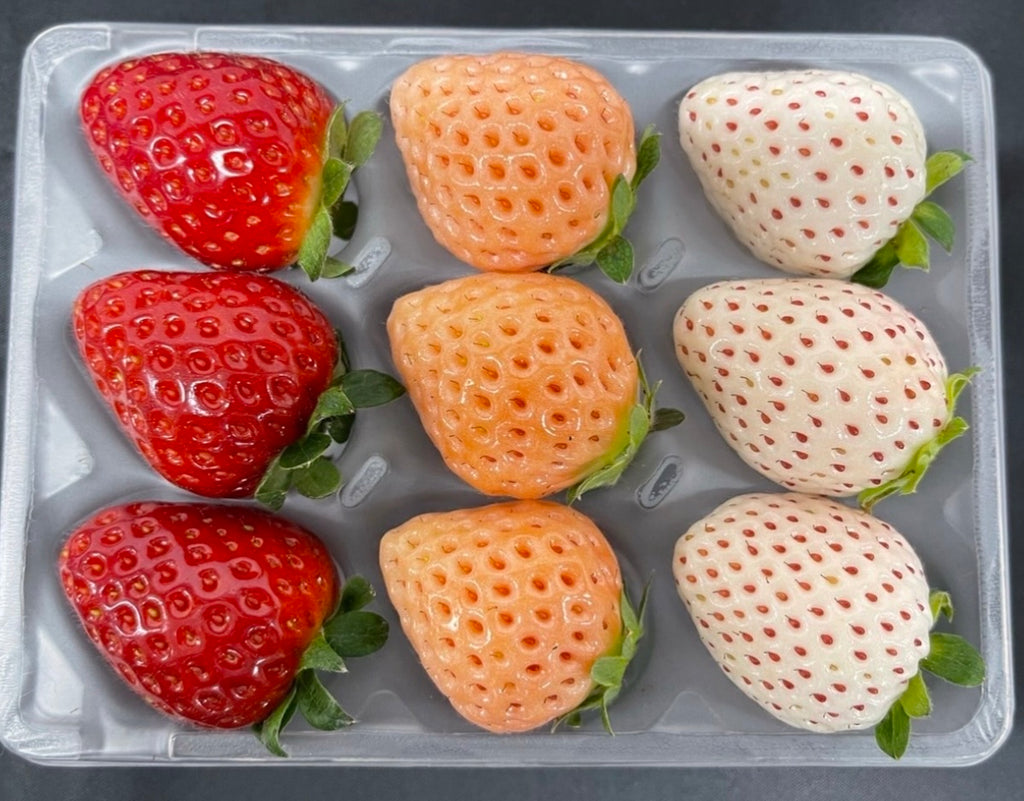J-Berry Tricolor Strawberries – Red, Pink & White