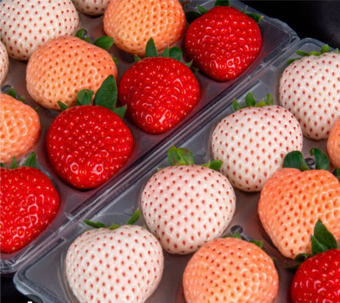 J-Berry Tricolor Strawberries – Red, Pink & White