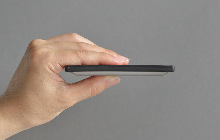 Stainless Steel Wasabi Grater