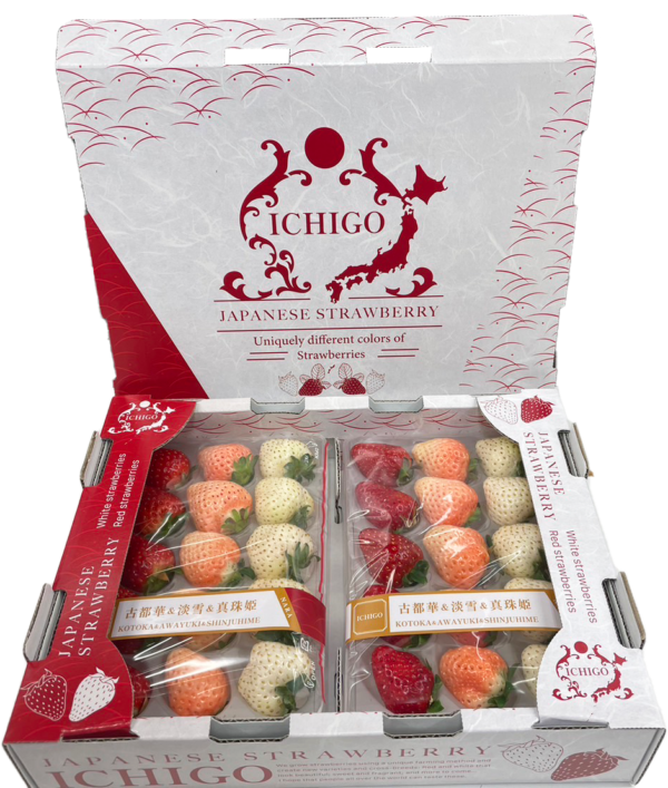 J-Berry Tricolor Strawberries – Red, Pink & White