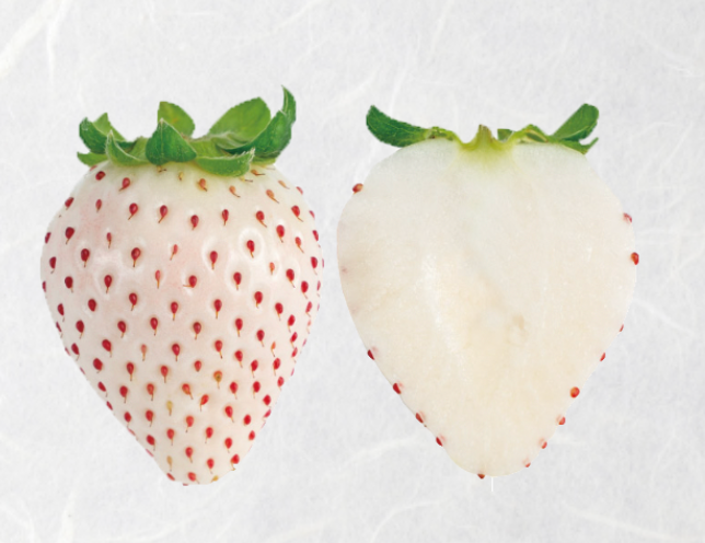 J-Berry Tricolor Strawberries – Red, Pink & White