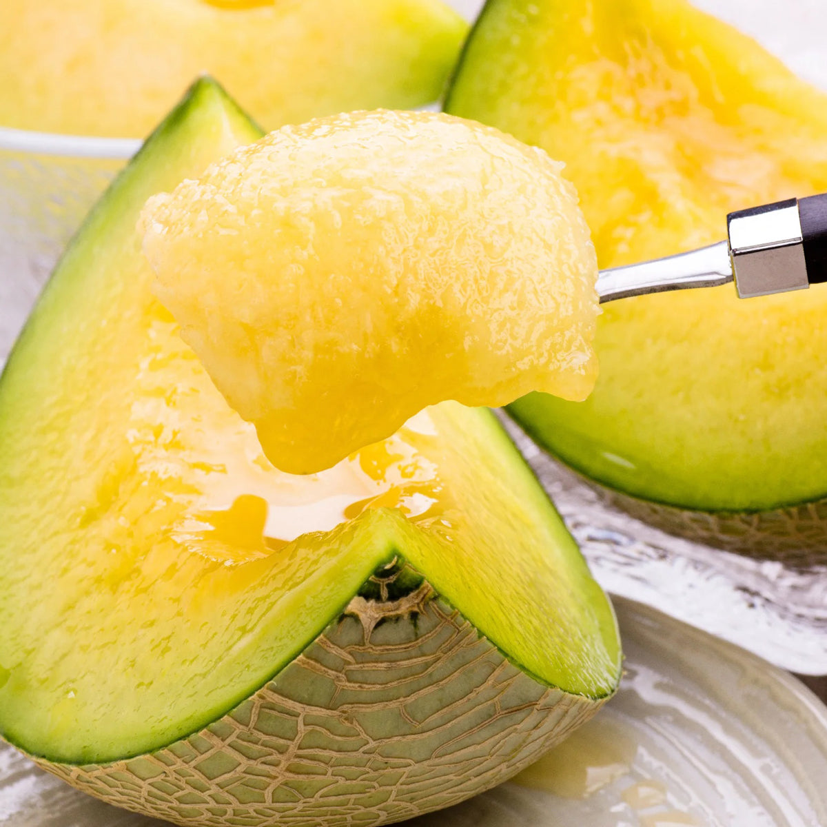 TOSA Muskmelon x 5 (Green)