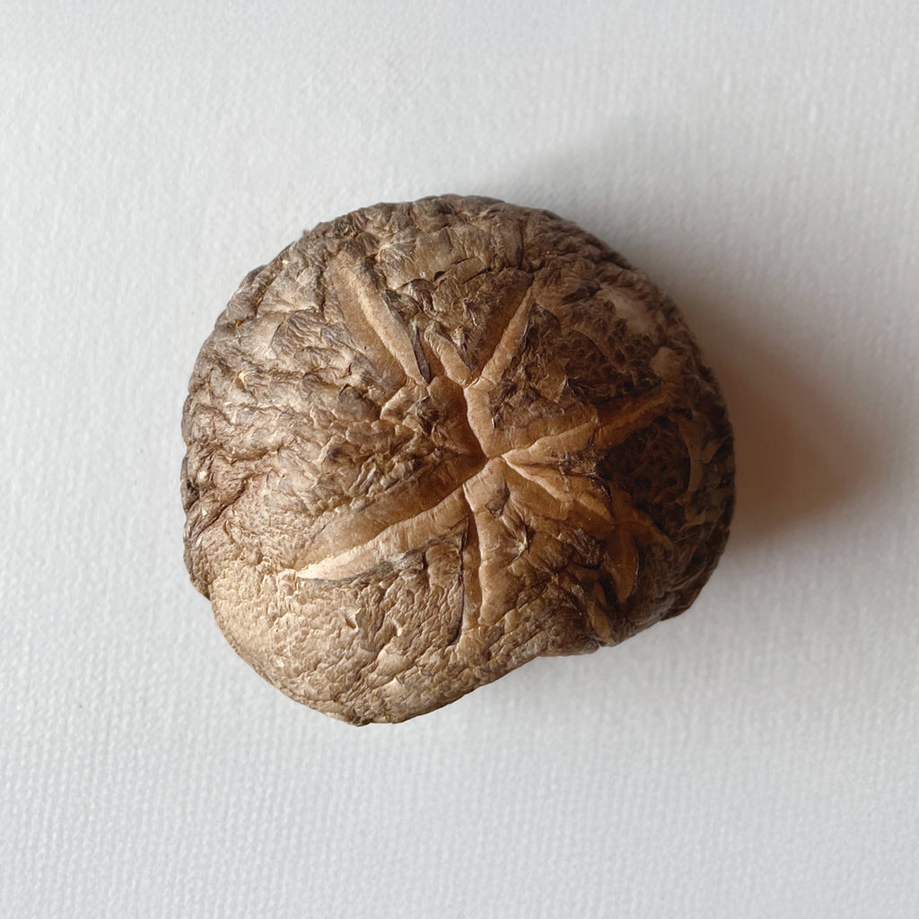 Dried Shiitake Mushrooms "KŌKO" (Large) 50g