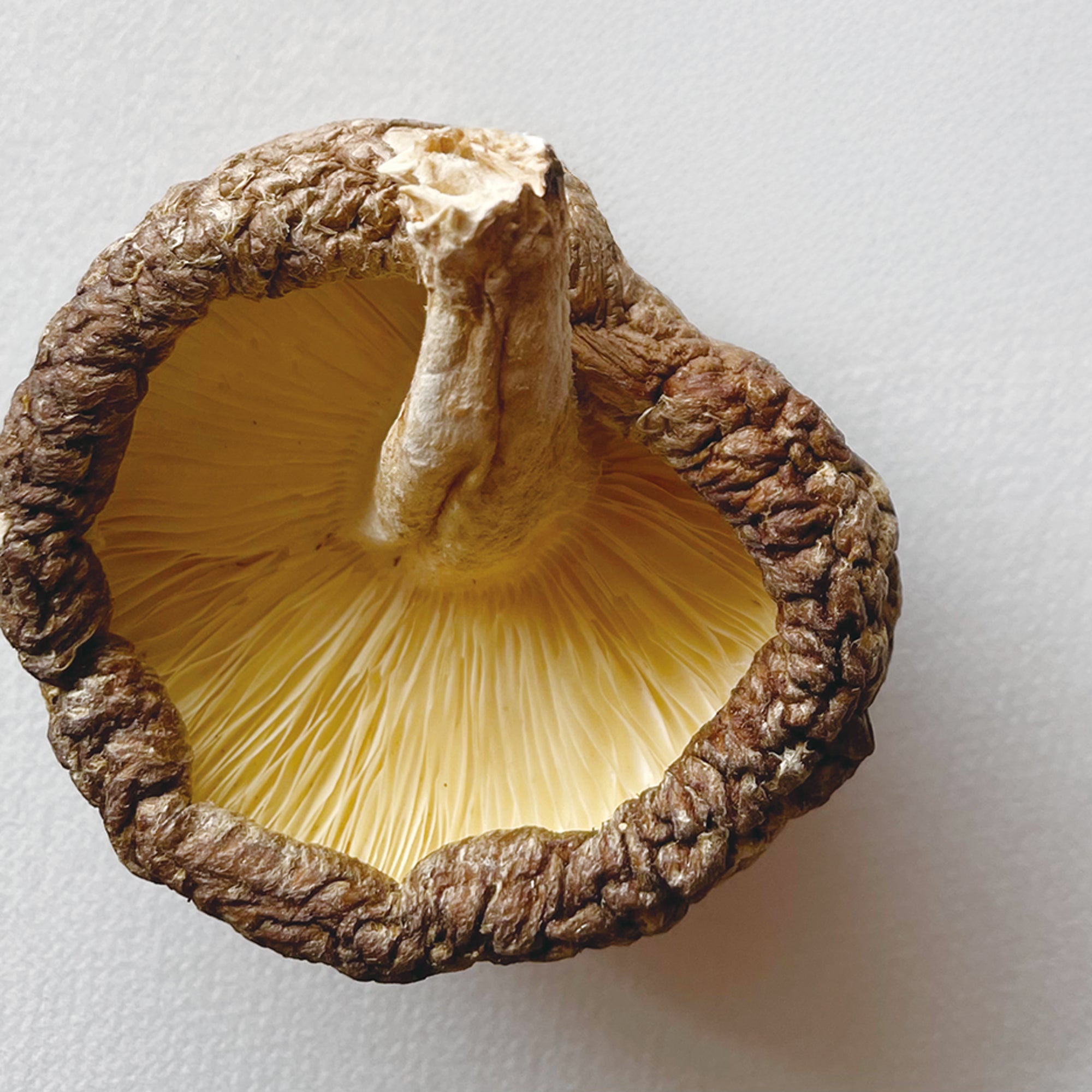 Dried Shiitake Mushrooms "KŌKO" (Large) 50g