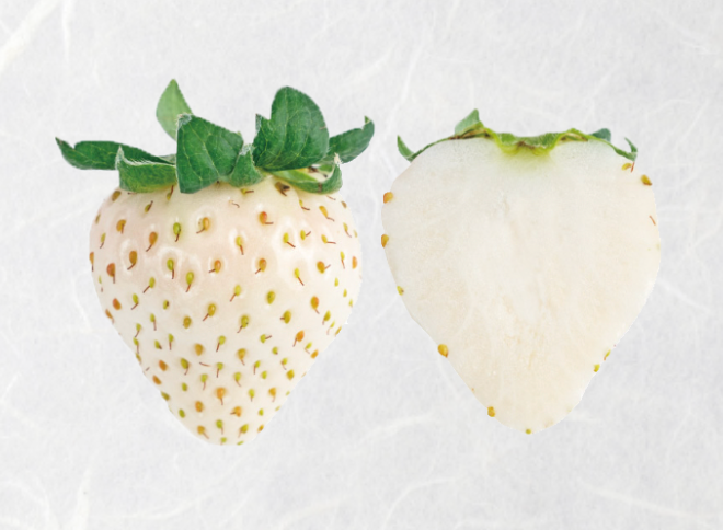 J-Berry Tricolor Strawberries – Red, Pink & White