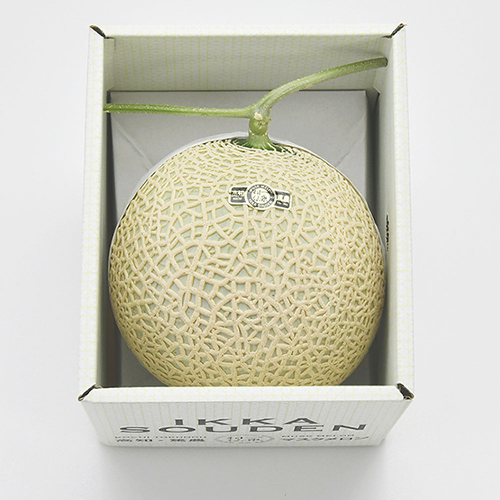 TOSA Muskmelon (Green)